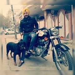 Raman Singh