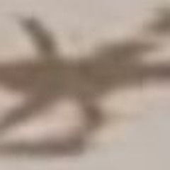 The Museum of Viral Memory (MVM)