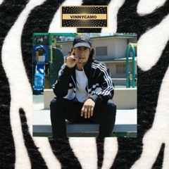 Vinnycamo