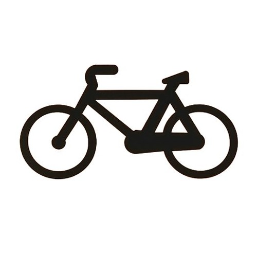 Court Rye Electric Bike Review | Bike Pic