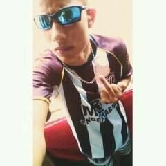 Wilken VL