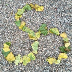 Ernesto Luis Fonseca