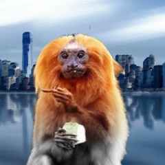 Glass smash she's got it taylor obviously needed