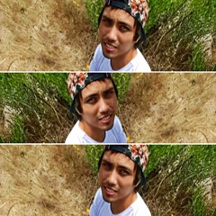 Diego Nicolás Gallegos Cares