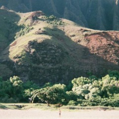 kia95