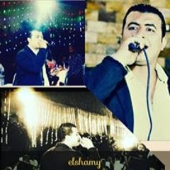 Mohsen Elshamy