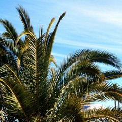 The Sun and the Beach.