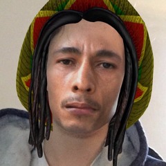 zideen