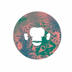 Sweet Child O'Mine - Guns'n Roses Cover by Astro Apes live audio