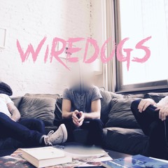 Wiredogs