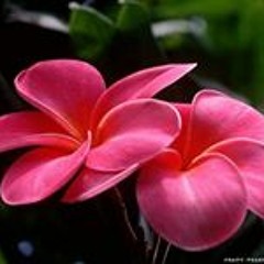 Prakash Sharma