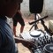 Dj Karlitos Flow
