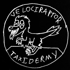 Velociraptor Taxidermy