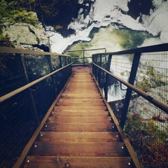 DougPhilipSylvester8