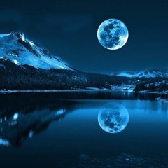 Brad Travis Wilber1966