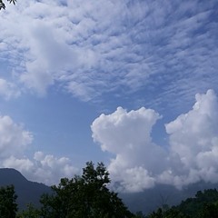 H Thapa