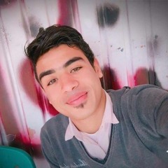 mohamed elsap3