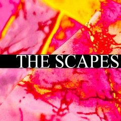 The Scapes