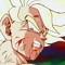 The Ultimate Warrior