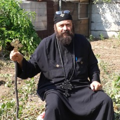 Father Mina Takla (Romania)