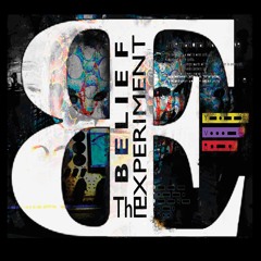 The Belief Experiment