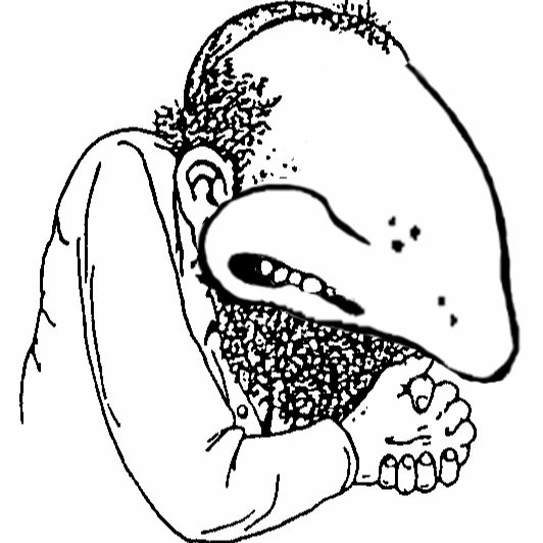 avatars-000292481250-o781ns-t1080x1080.jpg