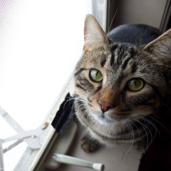 我要你 (I want you)