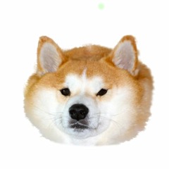 megaloannoyingdog