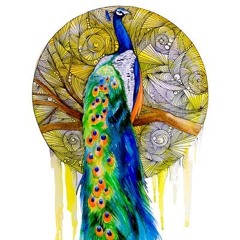 Daron Peacock