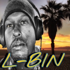 L-BIN
