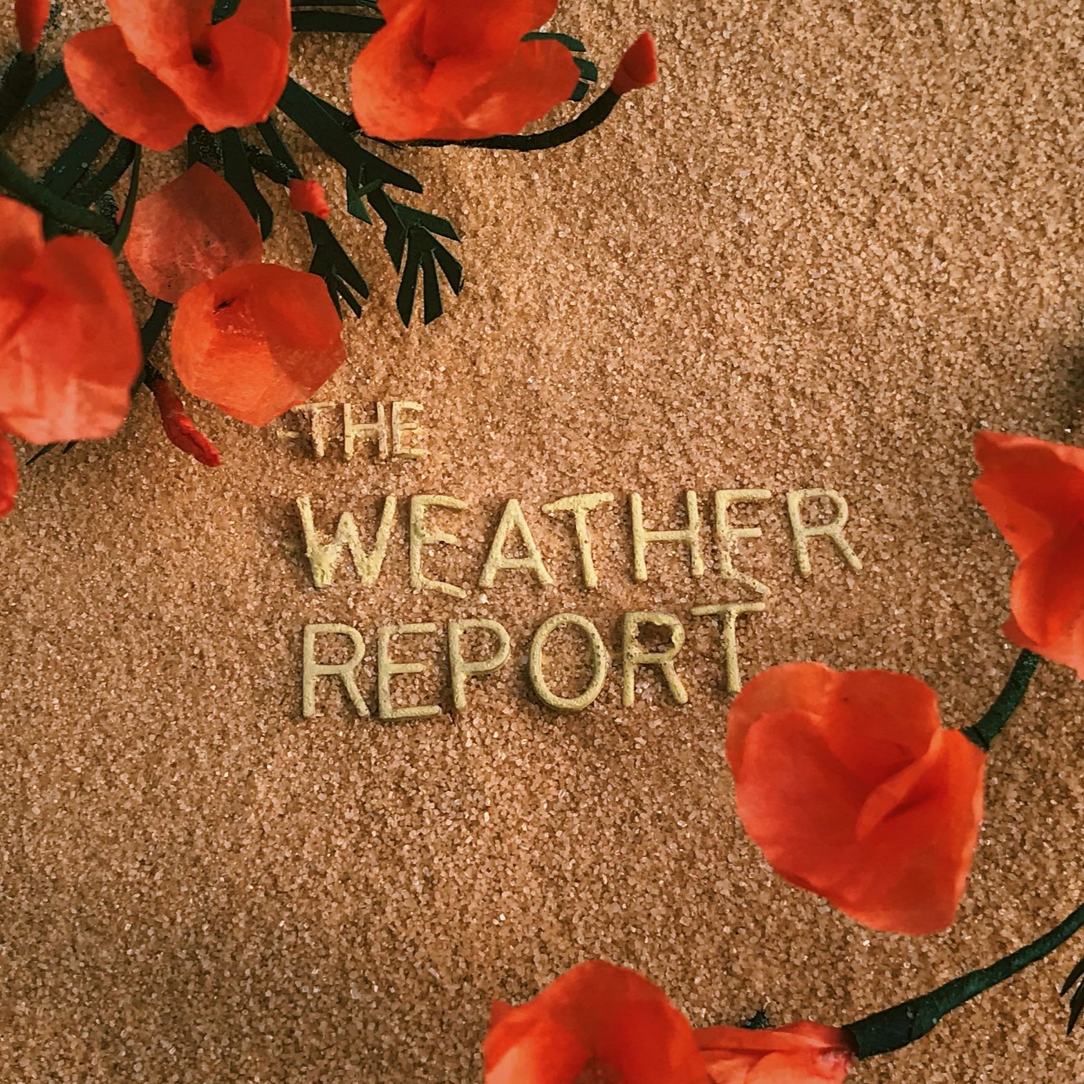 The Weather Report podcast artwork