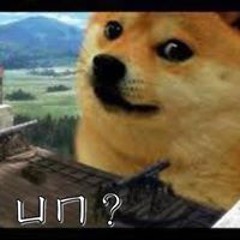 Doge Wu