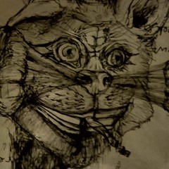 Nikitty
