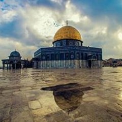 Doaa Galbat