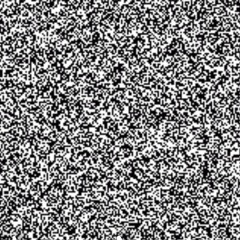 TheWhiteNoiseExperience