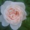 User 27178188