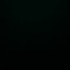 Hoàng Việt Phạm