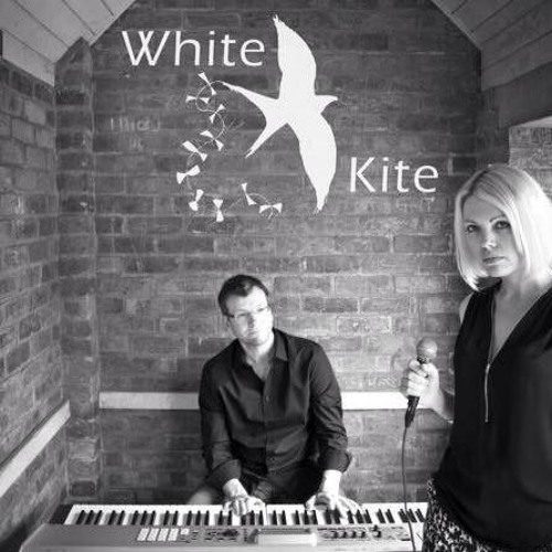 White Kite - The Scientist