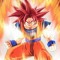 dragon ball god