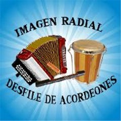 Imagen Radial acordeones