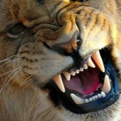 DeeJay Dan from Sarov