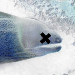 Big Eel in the World