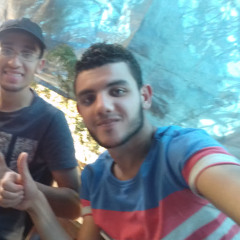 Muhammad Elsheikh