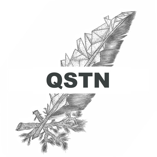 QSTN’s avatar