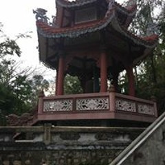 Đỗ Hoàng Thiên Anh