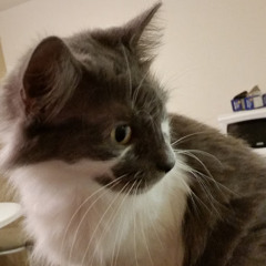 TOCMI TRVP TRVP TRVP