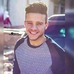 محمود الشامى