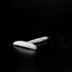 Mauro Cavia Caporelli