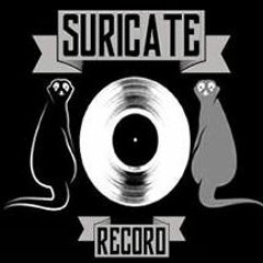 SURICATE RECORD