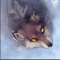 fawnings